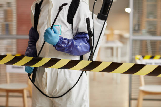 Professional Hoarding Cleanup technician working in West Bridgewater, MA
